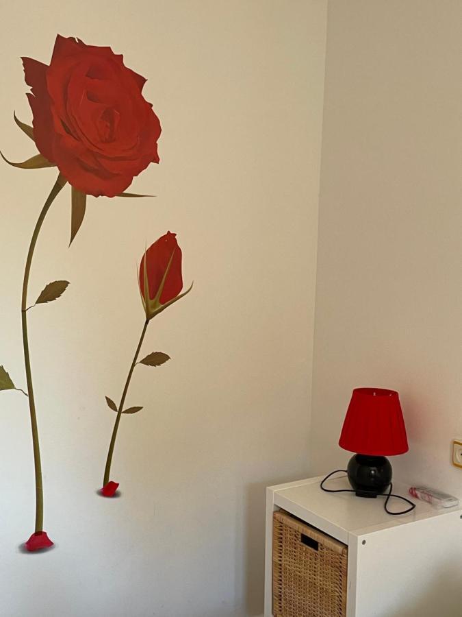 Apartamento Beatriz Cuenca  Eksteriør billede